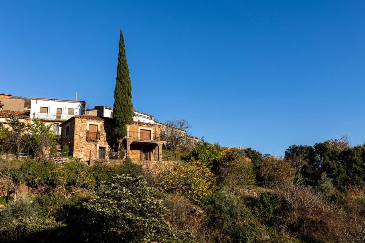 Casa Rural El Abeto Torre de Don Miguel Екстериор снимка
